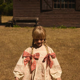 Apolina -  Wilma Dress Dried Rose/Cream