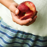 Fub :: Checked Shorts Pale Blue/Sea