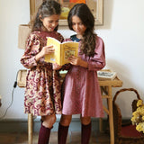 Bonjour Diary - Embroidered Dress Red Chambray