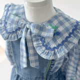 Emile Et Ida Blouse Grand Col Carreau - kids blouse alternate view