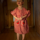Sissel Mini - Ohio Mini Dress Red Checks