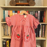 Sissel Mini - Ohio Mini Dress Red Checks